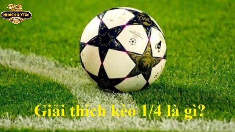 Giải mã thông tin liên quan tới kèo 1 4 là gì Giới thiệu kèo 1 4 là gì