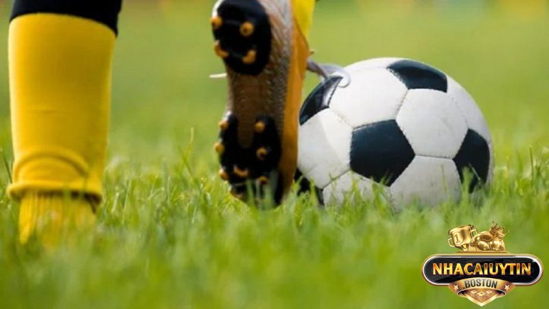 Bật mí kèo 1/4 là gì và cách đọc chuẩn tới 99% Bật mí kèo 1/4 là gì và cách đọc chuẩn tới 99%