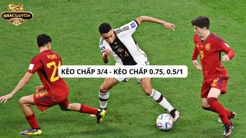 Review chi tiết nhất về kèo 3/4 là gì Sơ lược về kèo 3/4 là gì
