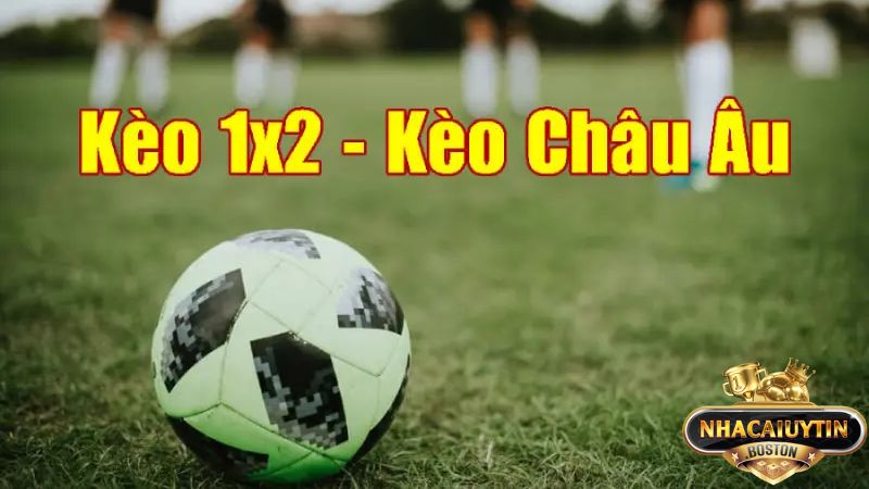Kèo châu Âu là gì? Bí quyết soi kèo và cách đọc hiệu quả