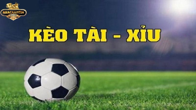 Kèo tài xỉu là gì? Mẹo chơi kèo tài xỉu chắc thắng Sơ lược về kèo tài xỉu là gì